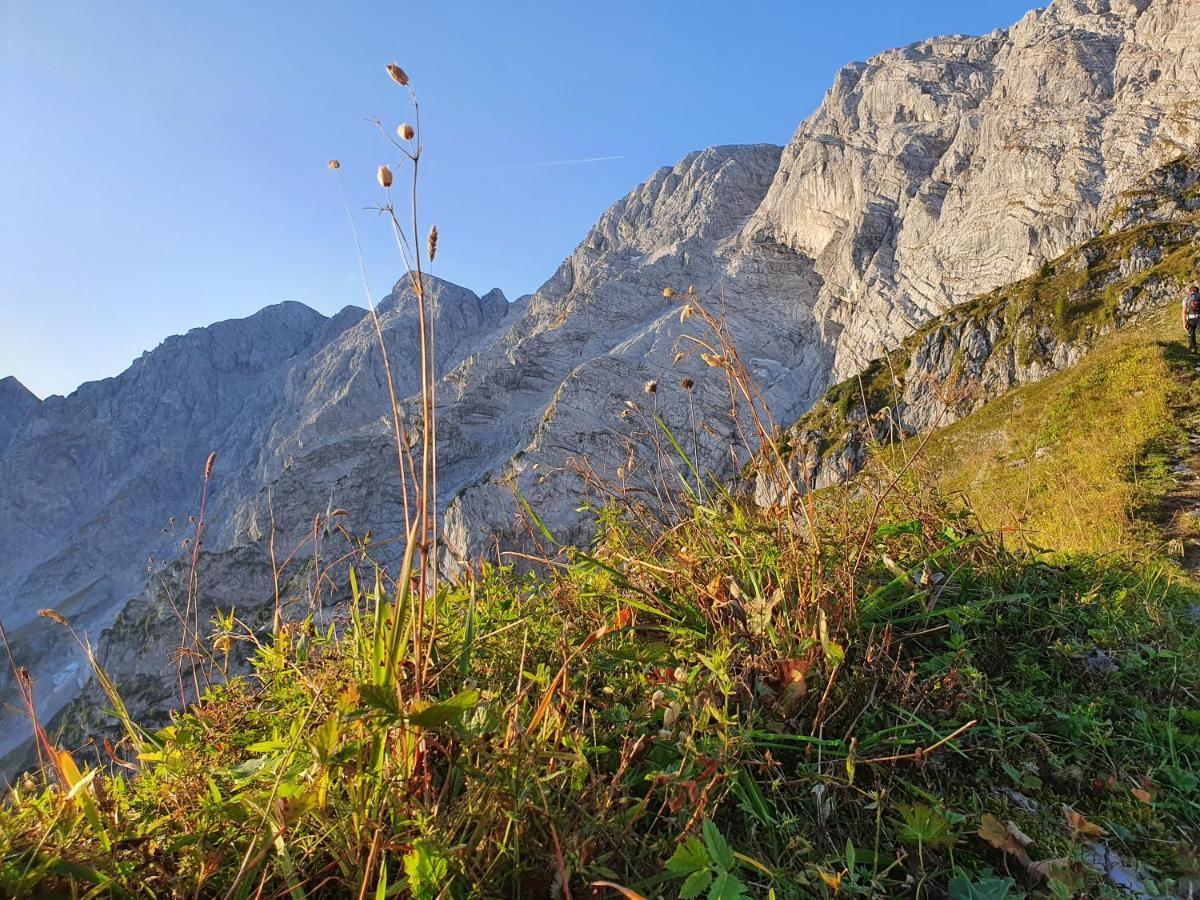 Ferienwohnungen Gaestehaus Laercheck Berchtesgaden Exterior photo